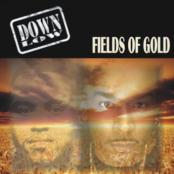 Down Low Fields of Gold (Instrumental)