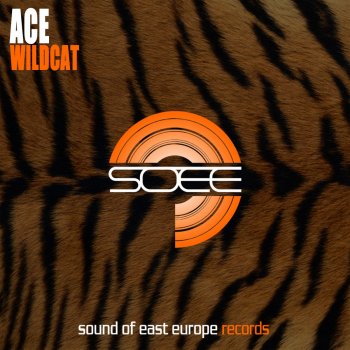 ACE WildCat - Original Mix