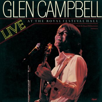 Glen Campbell Wichita Lineman - Live