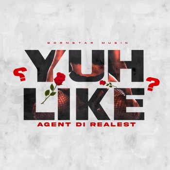 Agent DI Realest Yuh Like (Radio Edit)