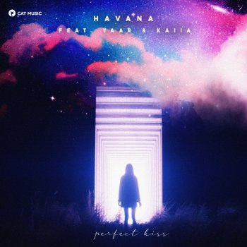 Havana feat. Yaar, Kaiia & Festum Music Perfect Kiss - Festum Music Remix