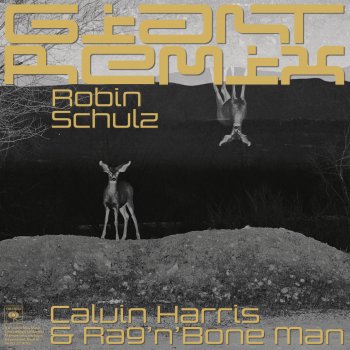Calvin Harris feat. Rag'n'Bone Man Giant (Robin Schulz Remix)