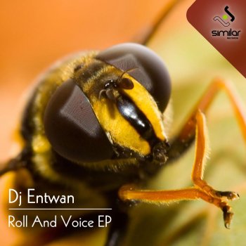 DJ Entwan Roll & Voices