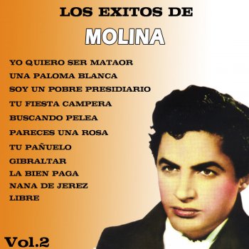 Antonio Molina Libre