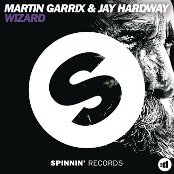 Martin Garrix & Jay Hardway Wizard