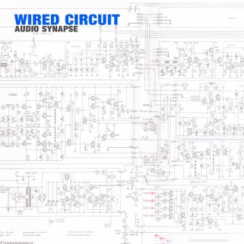 Audio Synapse Wired Circuit