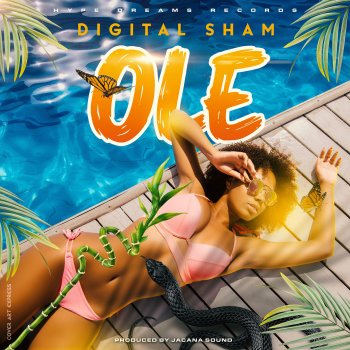 Digital Sham Ole
