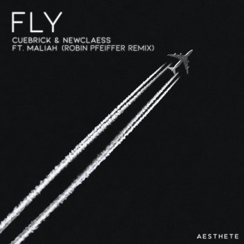 Cuebrick feat. Newclaess, Maliah & Robin Pfeiffer Fly - Robin Pfeiffer Remix