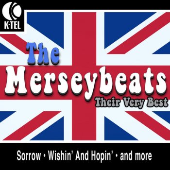 The Merseybeats You Can't Judge a Book