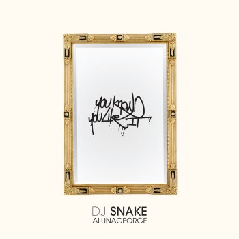 DJ Snake feat. AlunaGeorge You Know You Like It