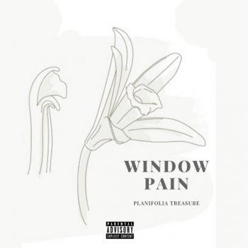 Z-Man Window Pain