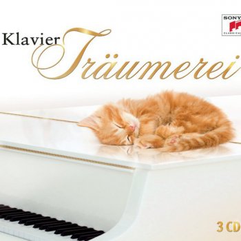 Matthias Kirschnereit Piano Concerto No. 23 in A Major, K. 488: Adagio