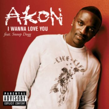 Akon I Wanna Love You