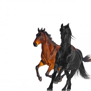 Lil Nas X feat. Billy Ray Cyrus Old Town Road - Remix