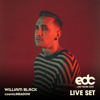 William Black Internet Friends / ID1 (from William Black at EDC Las Vegas 2021: Cosmic Meadow Stage) [Mixed]