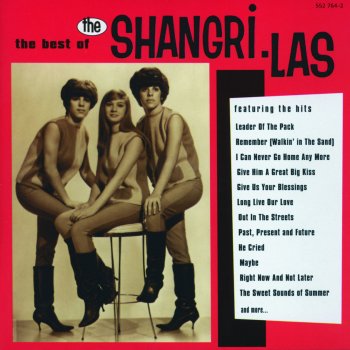 The Shangri-Las Leader Of The Pack - Single Version