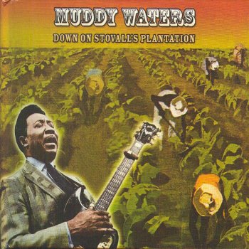 Muddy Waters Joe Turner