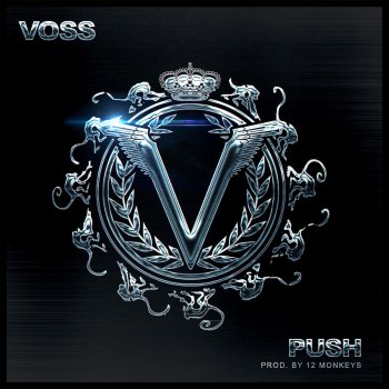 Voss Push