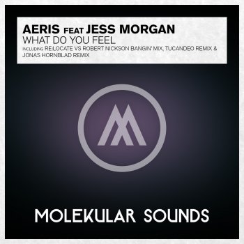 Aeris feat. Jess Morgan What Do You Feel? (Paul Moelands & Robert Nickson Original Mix)