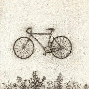 RM Bicycle