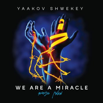 Yaakov Shwekey We Are a Miracle