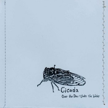 Cicada ... Till the Day We Meet