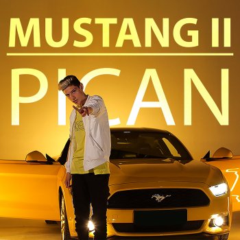 Antonio Pican Mustang II