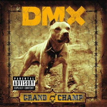 DMX feat. Sheek, Syleena Johnson, Infa-Red & Cross & Drag-On Untouchable
