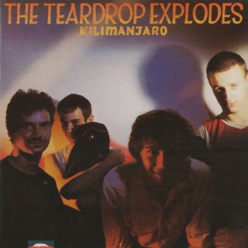 The Teardrop Explodes Second Head
