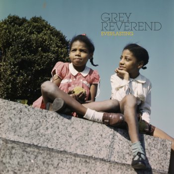 Grey Reverend When You're a Rose (Revisited)