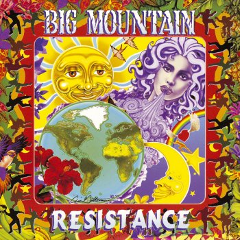 Big Mountain Resistance