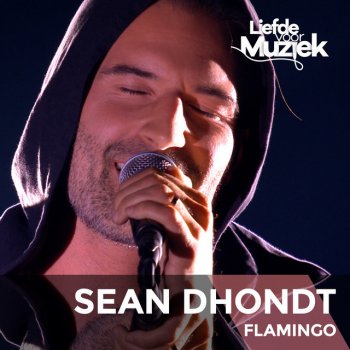Sean Dhondt Flamingo - Uit Liefde Voor Muziek
