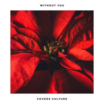 Covers Culture Without You