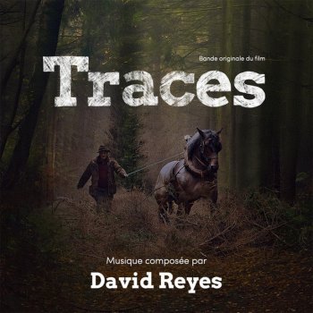 David Reyes Traces