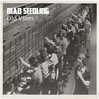 Mad Seedling Old Vines