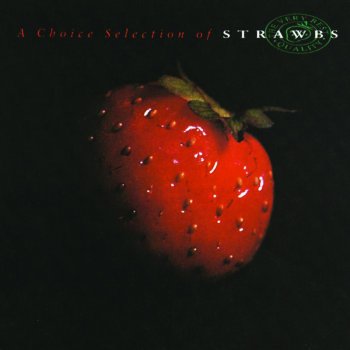 The Strawbs Part of the Union