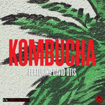 TiRon & Ayomari feat. David Otis Kombucha