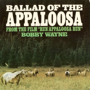 Bobby Wayne Ballad of the Appaloosa