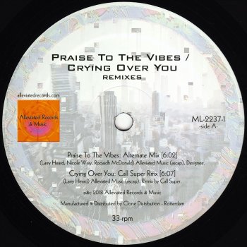 Mr. Fingers Praise to the Vibes (Mr. Fingers Alternate Version)