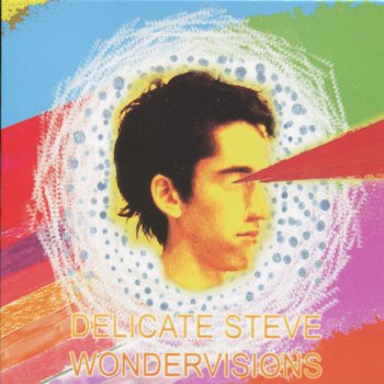 Delicate Steve Wondervisions