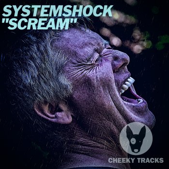SystemShock Scream (Radio Edit)