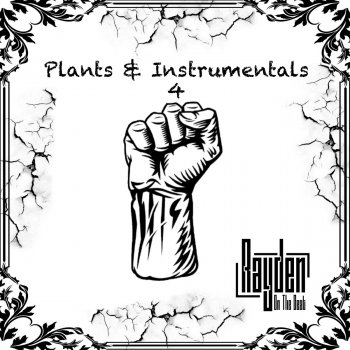 Rayden Drill & Plant - Instrumental