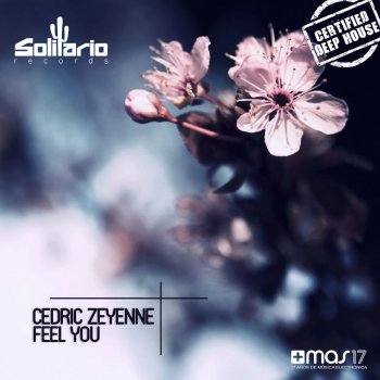 Cedric Zeyenne Feel You - Radio Mix
