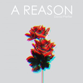 David Pfeffer A Reason (Acoustic Version)