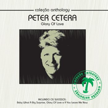 Peter Cetera Hard to Say I'm Sorry