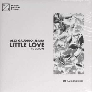 Alex Gaudino Little Love (feat. Lil' Love) [Teo Mandrelli Remix]