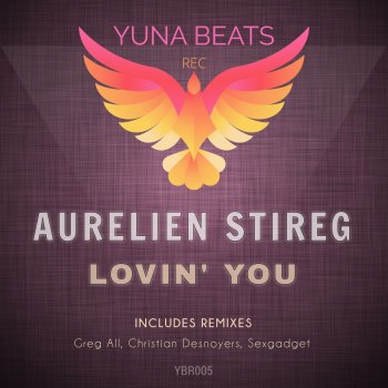 Aurelien Stireg Lovin' You - Extended Mix