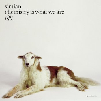 Simian The Wisp