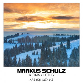 Markus Schulz Are You with Me