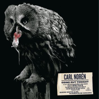 Carl Norén The Anger pt.2